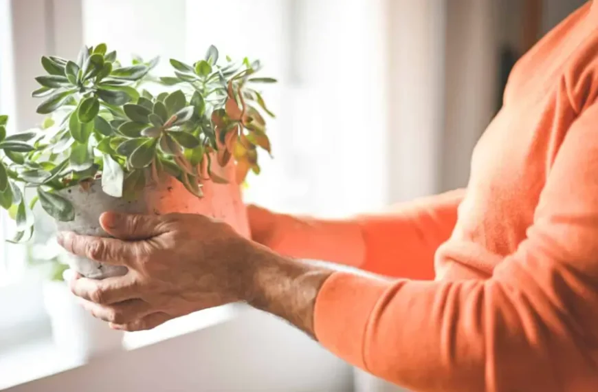 How Cognitive Decline Accelerates as Alzheimer’s Progresses Over Time